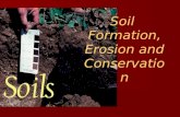 Soil Formation, Erosion and Conservation. Soil Profile O Horizon – Organic O Horizon – Organic HUMUS: detritus, leaf litter and other organic material.