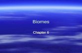 Biomes Chapter 6. What is a biome? Biome- large region characterized by a specific type of climate and certain types of organisms. Biome- large region.