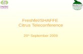 Freshfel/SHAFFE Citrus Teleconference 25 th September 2009.