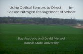 Using Optical Sensors to Direct In-Season Nitrogen Management of Wheat Ray Asebedo and David Mengel Kansas State University.