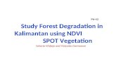 Study Forest Degradation in Kalimantan using NDVI SPOT Vegetation Suharto Widjojo and Mulyanto Darmawan PN-43.