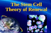 STEMTech the World Leader in Adult Stem Cell Nutrition Science STEMTech HealthSciences Inc. was founded in 2005 STEMTech has expanded with offices in.