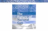 MIT Future of Natural Gas Study 1. 2 To view a full copy of this report, please visit  natural-gas-2011.shtml.