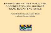 ENERGY SELF-SUFFICIENCY AND COGENERATION IN LOUISIANA CANE SUGAR FACTORIES Harold Birkett and Jeanie Stein Audubon Sugar Institute.