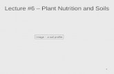 1 Image – a soil profile Lecture #6 – Plant Nutrition and Soils.