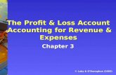 The Profit & Loss Account Accounting for Revenue & Expenses Chapter 3 © Luby & ODonoghue (2005)