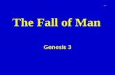 The Fall of Man Genesis 3 1. Introduction 2 Some wonder where evil, hardship, suffering, heartbreak, death, hopelessness etc. all began It began when.