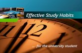 Company LOGO Effective Study Habits … for the university student goggle images.