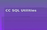 CC SQL Utilities. CC SQL Utilities Overview The Primary tech tool used for viewing and changing data directly in the database The Primary tech tool used.