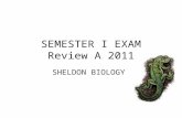 SEMESTER I EXAM Review A 2011 SHELDON BIOLOGY. Match Parts of Scientific Method Problem Statement Hypothesis Experiment Conclusion If and then… Agree.