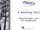 OpenInsight and U2 Databases. What is OI for U2?