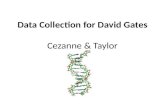 Data Collection for David Gates Cezanne & Taylor.