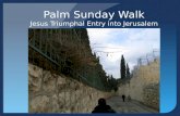 Palm Sunday Walk Jesus Triumphal Entry into Jerusalem.