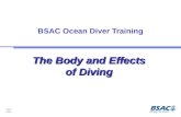 OT3.1 08/02 BSAC Ocean Diver Training The Body and Effects of Diving.