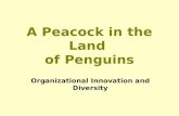 A Peacock in the Land of Penguins Organizational Innovation and Diversity.