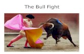 The Bull Fight. The Matador Bullfighting as we know it today, started in the village squares, and became formalized, with the building of the bullring.