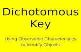 Dichotomous Key Using Observable Characteristics to Identify Objects.