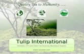 Tulip International dsd Tulip International dsd Orthodox, CTC and Green Tea Sourcing, Blending & Exports www.tuliptea.com Tulip International dsd Tulip.