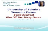 © 2007 SHAMBAUGH Leadership LLC. All Rights Reserved Booz | Allen | Hamilton Its Not A Glass Ceiling, Its A Sticky Floor! University of Toledos Womens.
