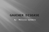 By: Melissa Sanders. Gaucher disease is a rare genetic disorder where a person lacks an enzyme called glucocerebrosidase. Not having this enzyme causes.