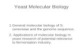 Yeast Molecular Biology 1.General molecular biology of S. cerevisiae and the genome sequence. 2. Applications of molecular biology in yeast research of.