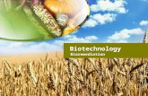 Biotechnology Bioremediation. Key Terms Bioremediation-The use of living organisms (microorganisms, fungi, green plants) or their products (enzymes) to.