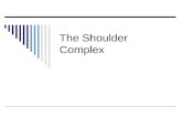 The Shoulder Complex. A.General Structure & Function B.Structure & Function of Specific Joints C.Muscular Considerations D.Specific Functional Considerations.