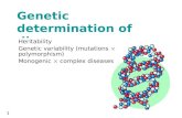 1 Genetic determination of diseases Heritability Genetic variability (mutations polymorphism) Monogenic complex diseases.