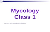 Mycology Class 1 .