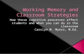 What is working memory? Working memory and learning Screening children with working memory impairments Supporting children with memory impairments.