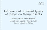 Influence of different types of lamps on flying insects Team leader: Zrinka Mesić Members: Marija Ivković, Ivan Jurić, Nikolina Ričko.