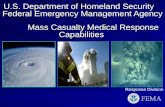 U.S. Department of Homeland Security Federal Emergency Management Agency Mass Casualty Medical Response Capabilities Response Division.
