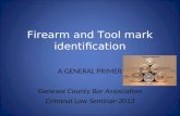 Firearm and Tool mark identification A GENERAL PRIMER Genesee County Bar Association Criminal Law Seminar-2013.