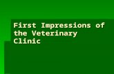 First Impressions of the Veterinary Clinic. First things First Veterinary clinic is a business. Veterinary clinic is a business. Goal is to make a profit.