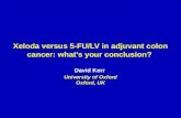 Xeloda versus 5-FU/LV in adjuvant colon cancer: whats your conclusion? David Kerr University of Oxford Oxford, UK.