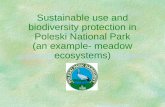 Sustainable use and biodiversity protection in Poleski National Park (an example- meadow ecosystems)