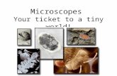 Microscopes Your ticket to a tiny world!. History of Microscopes –Robert Hooke wasnt the first to make a microscope, but he was one of the firsts to use.