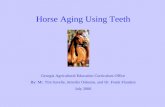 Horse Aging Using Teeth Georgia Agricultural Education Curriculum Office By: Mr. Tim Savelle, Jennifer Osborne, and Dr. Frank Flanders July 2006.