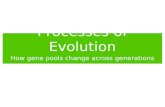 Processes of Evolution How gene pools change across generations.