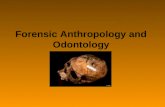 Forensic Anthropology and Odontology. Forensic Anthropology -study of human skeletal remains to determine sex, age, race, and time of death in an effort.