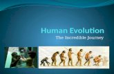The Incredible Journey. Recap – Natural Selection There is variation between individuals in a population Parents pass on their traits to their offspring.