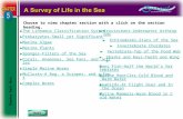 Exit Choose to view chapter section with a click on the section heading. The Linnaeus Classification System Prokaryotes-Small yet Significant Marine Algae.