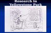 Research in Yellowstone Park. Stacey Gunther Overview Each year… The Research Permit Office issues ~200 research permits The Research Permit Office issues.