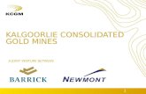 1 KALGOORLIE CONSOLIDATED GOLD MINES A JOINT VENTURE BETWEEN.
