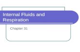 Internal Fluids and Respiration Chapter 31. Exchanging Materials Every organism must exchange materials with its environment. This exchange ultimately.
