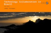 Technology Collaboration in Brazil July 2011 James Faroppa.