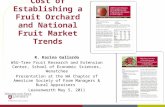 Cost of Establishing a Fruit Orchard and National Fruit Market Trends R. Karina Gallardo WSU-Tree Fruit Research and Extension Center, School of Economic.