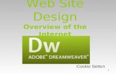1 Web Site Design Overview of the Internet Cookie Setton.