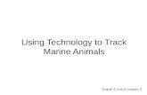 Using Technology to Track Marine Animals Grade 4 Unit 5 Lesson 4.