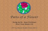 Parts of a Flower Song by Dr. Jean Feldman Kiss Your Brain CD PPT by Sharon Roden Frisco ISD ©
